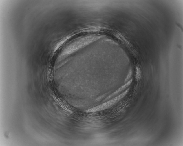 X0000100361208200806201556