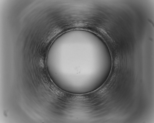 X0000100361209200806201556