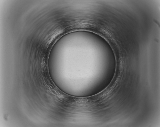 X0000100361210200806201556