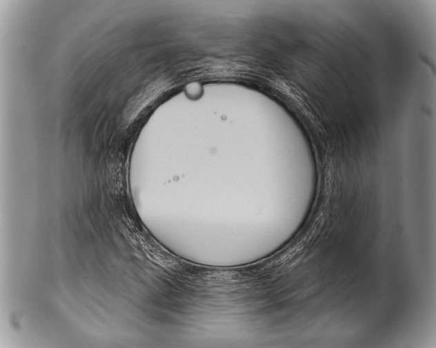 X0000100361211200806201556