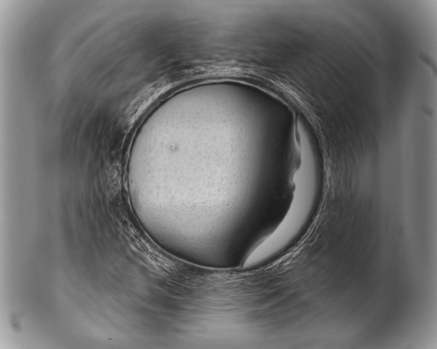 X0000100361212200806201556