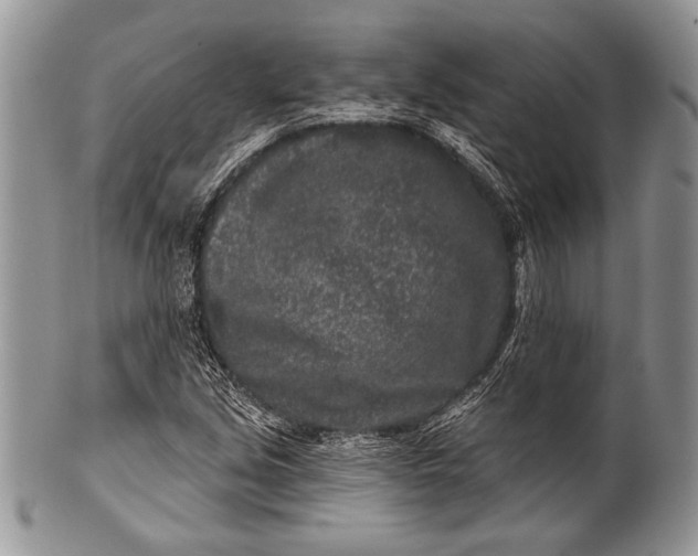 X0000100361213200806201556