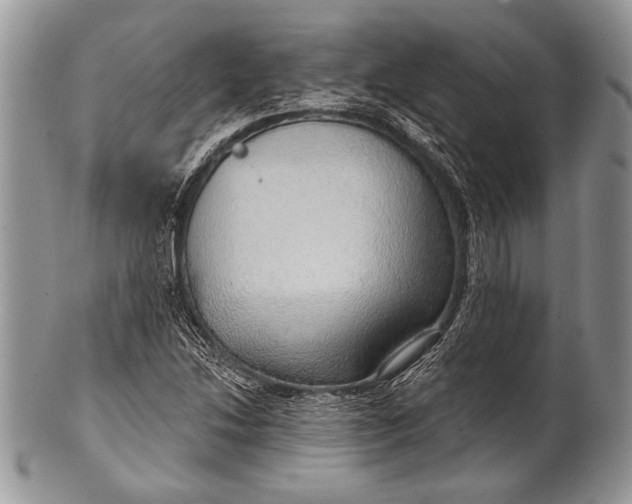 X0000100361214200806201556