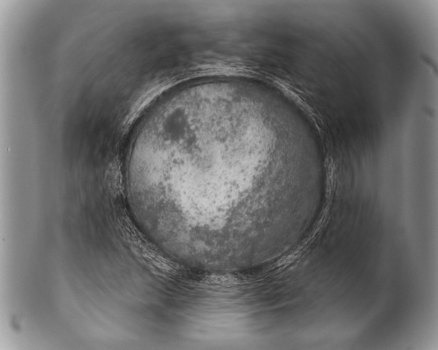 X0000100361215200806201556