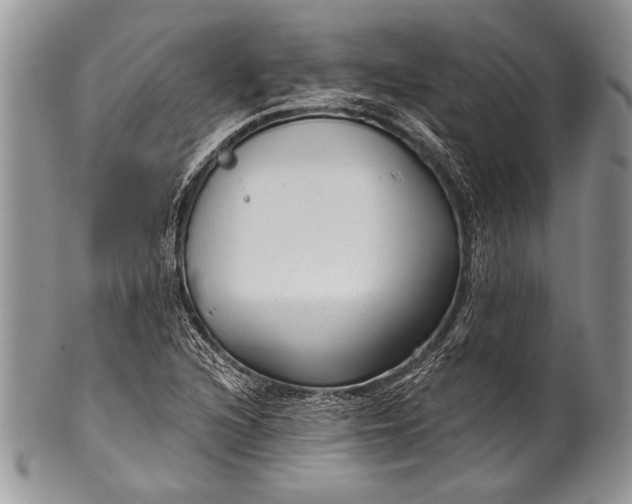 X0000100361216200806201556