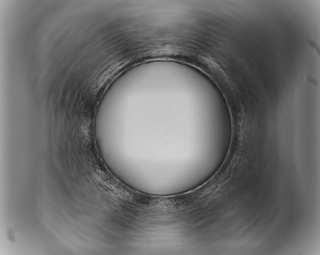 X0000100361217200806201556