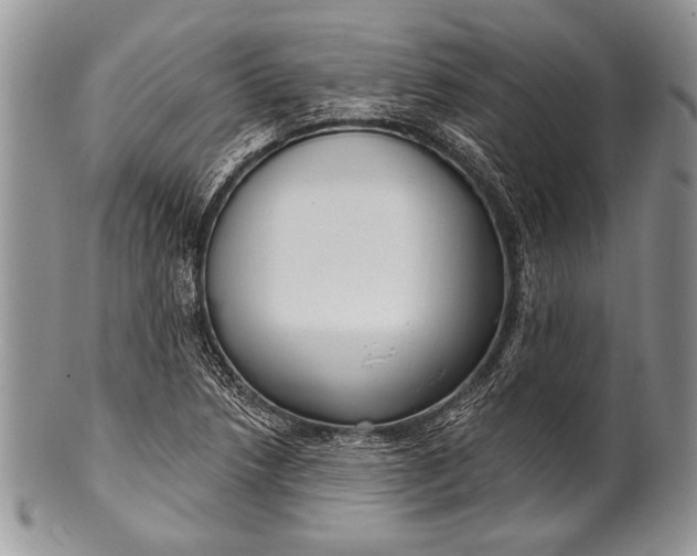 X0000100361218200806201556