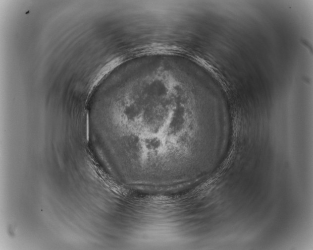 X0000100361219200806201556