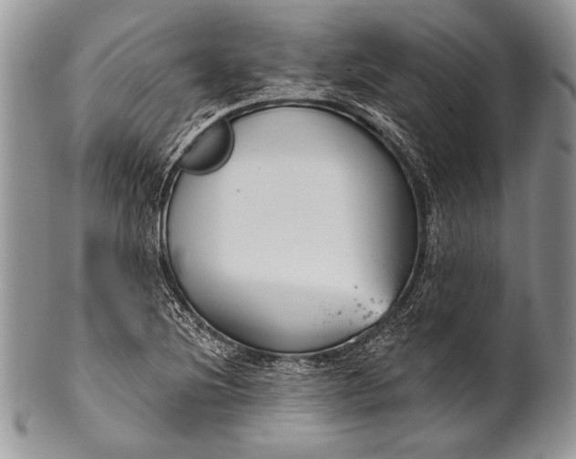 X0000100361220200806201557