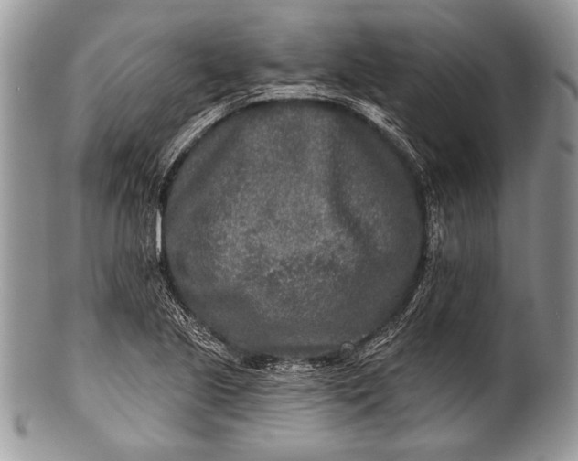 X0000100361221200806201557