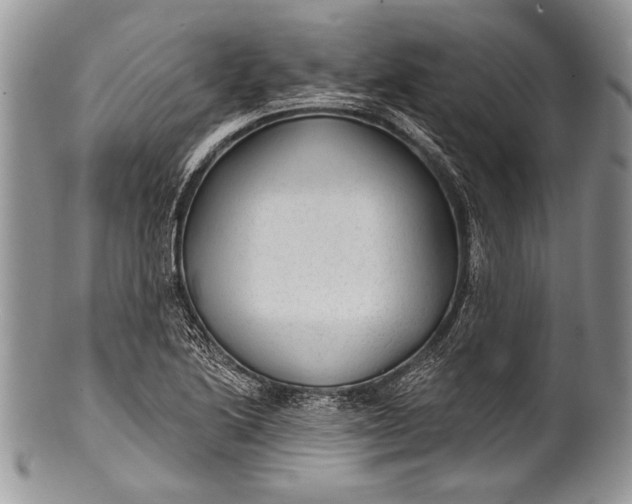 X0000100361222200806201557