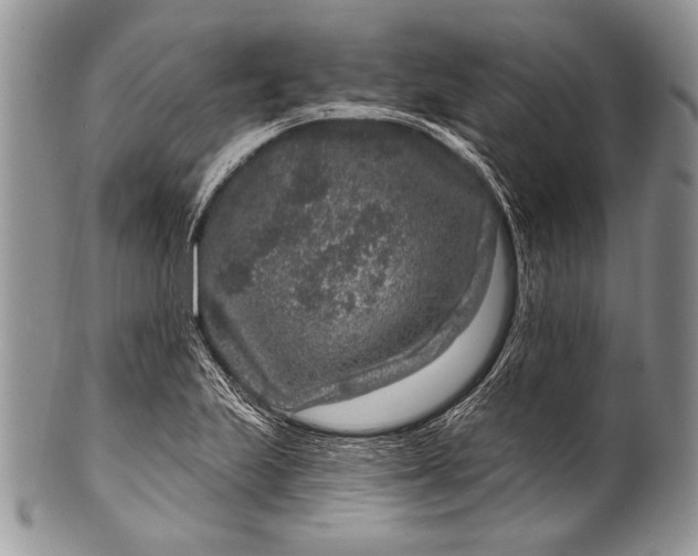 X0000100361223200806201557