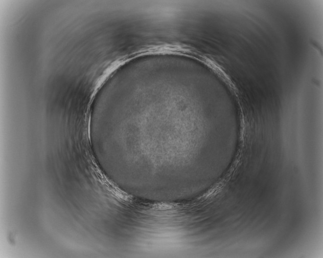 X0000100361224200806201557