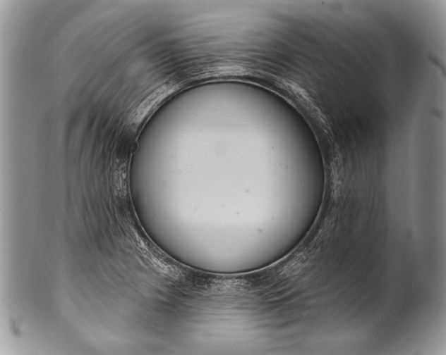 X0000100361225200806201557