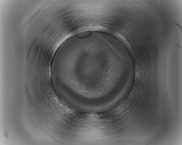 X0000100361226200806201557