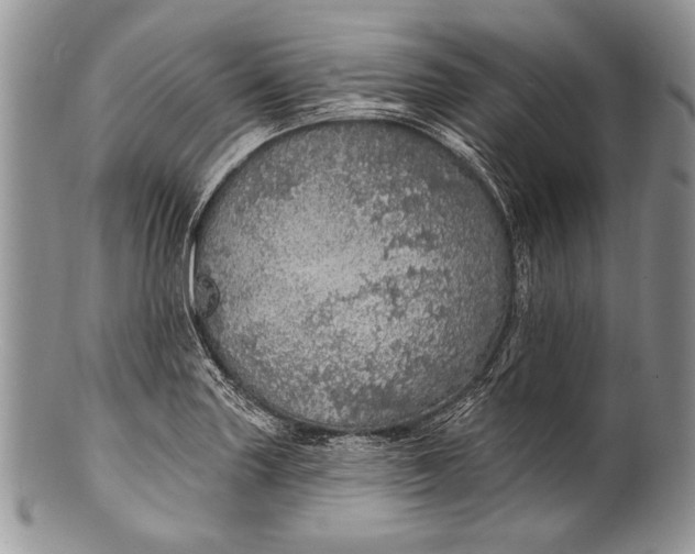 X0000100361227200806201557