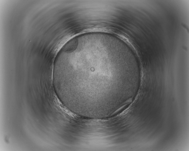 X0000100361228200806201557