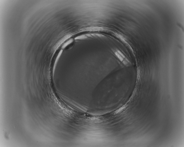 X0000100361229200806201557