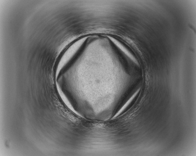 X0000100361230200806201557