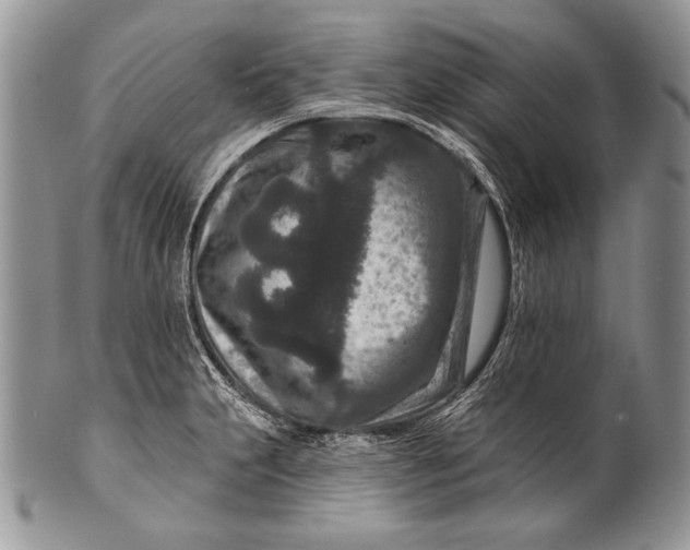 X0000100361231200806201557