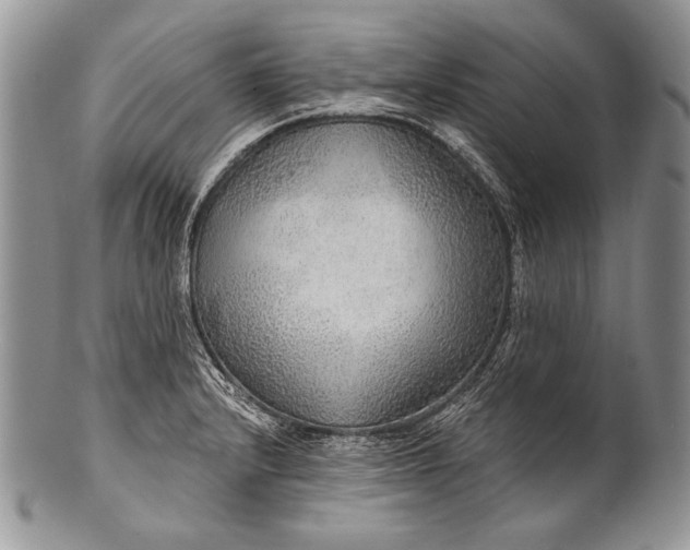 X0000100361232200806201557