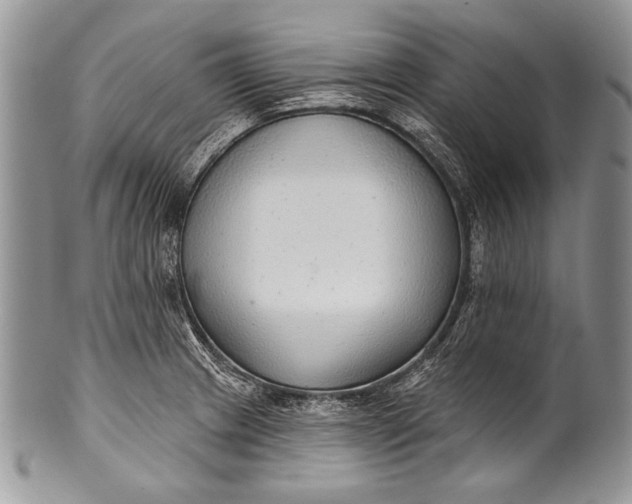 X0000100361233200806201557