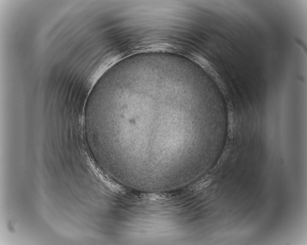 X0000100361234200806201557