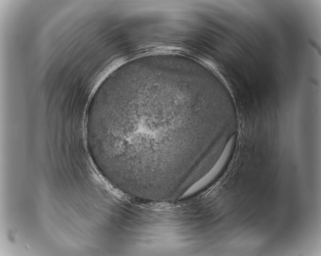 X0000100361235200806201557