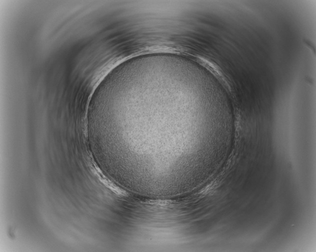 X0000100361236200806201557