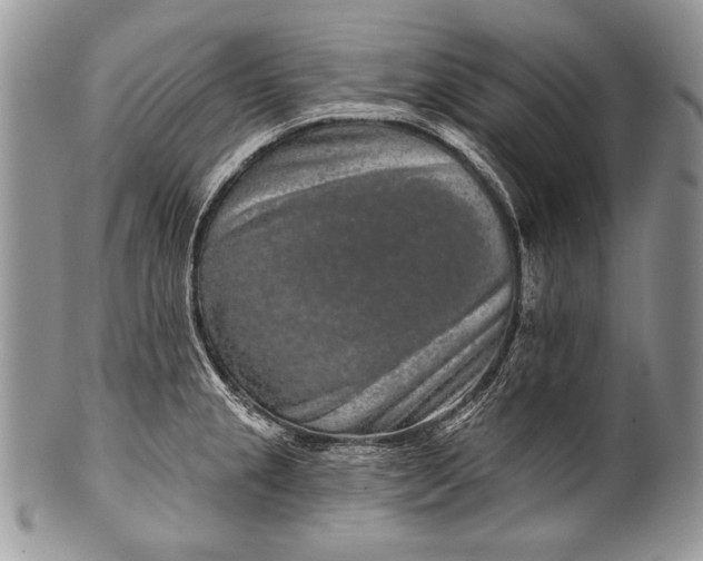 X0000100361237200806201557