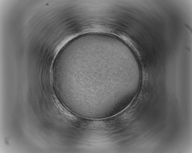 X0000100361238200806201557