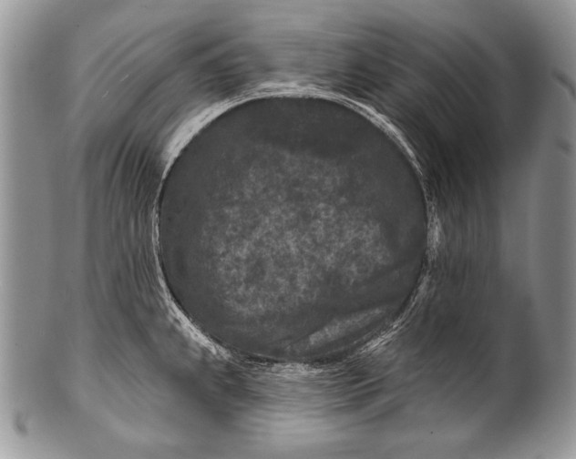 X0000100361239200806201557