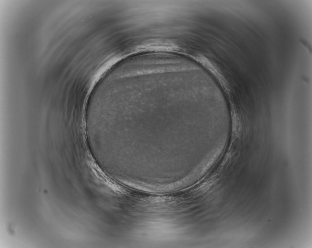 X0000100361240200806201557