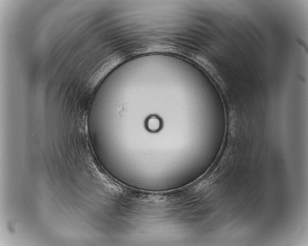 X0000100361241200806201557