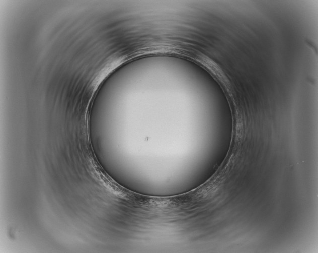 X0000100361242200806201557