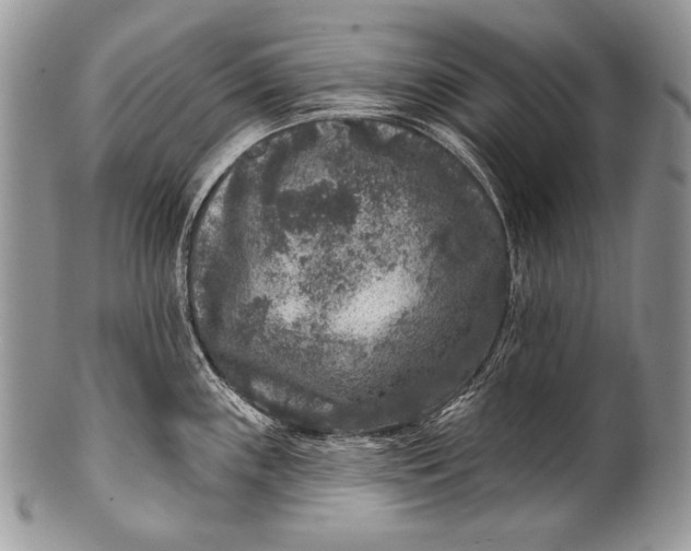 X0000100361243200806201557