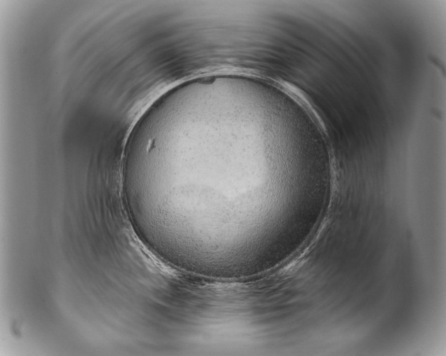 X0000100361244200806201557