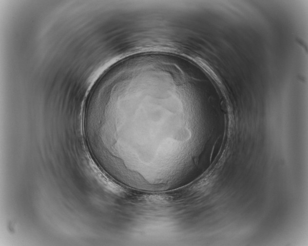 X0000100361246200806201557