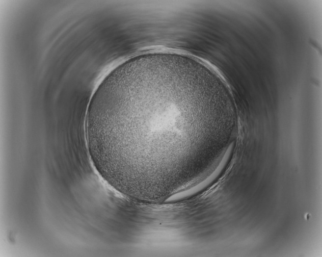 X0000100361247200806201557