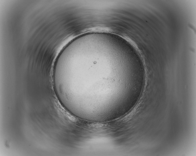 X0000100361248200806201557