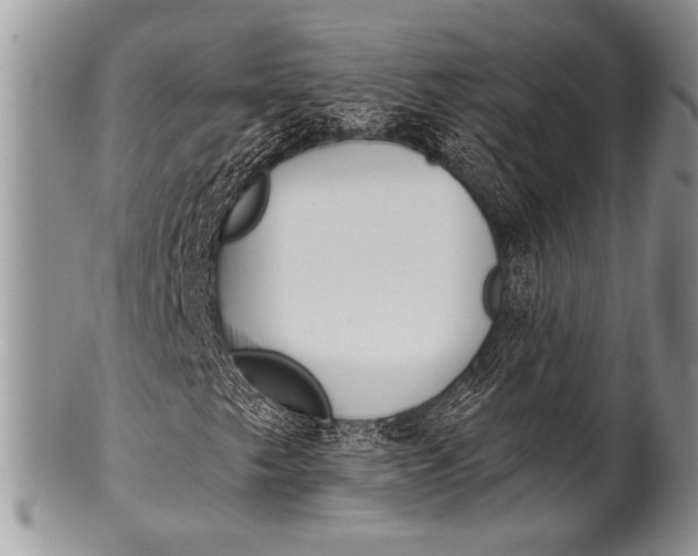 X0000100361249200806201556