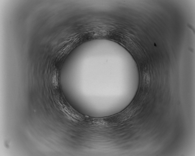 X0000100361250200806201556