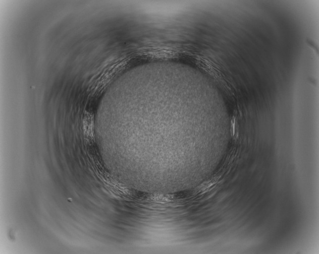 X0000100361251200806201556