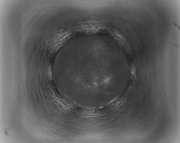 X0000100361252200806201556