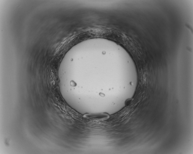 X0000100361253200806201556