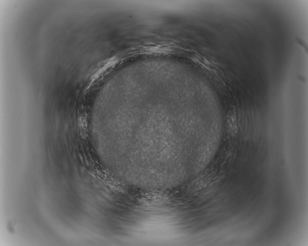 X0000100361254200806201556