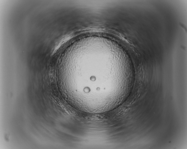 X0000100361255200806201556