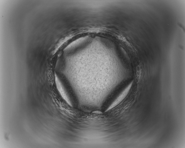 X0000100361256200806201556