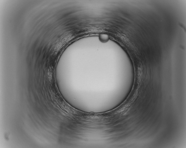 X0000100361257200806201556