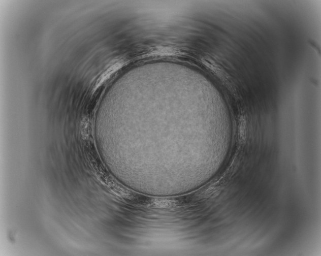 X0000100361258200806201556